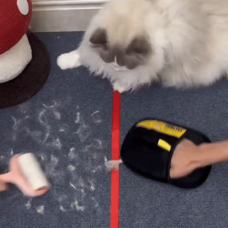 🔥Last Day Buy 1 Get 1 Free $9.99 Each🔥Pet Hair Removal Gloves